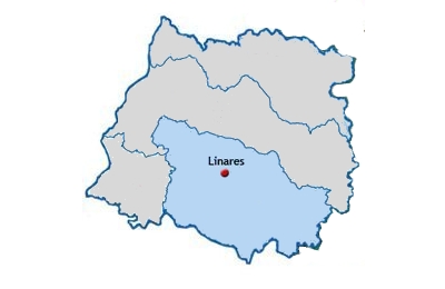 provincia_linares